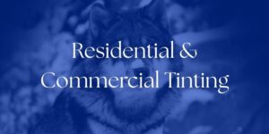 Residential and Commercial Tinting